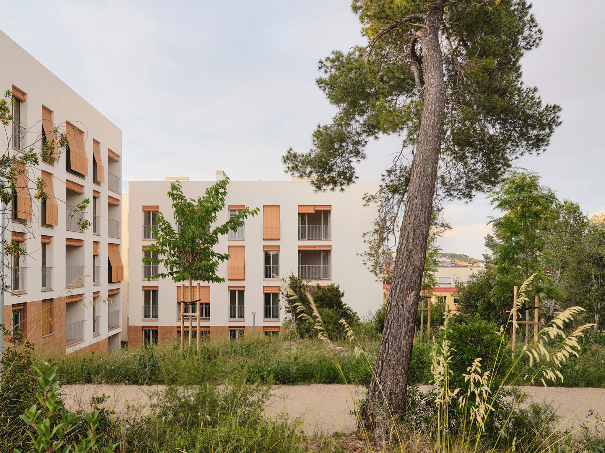 Passive strategies and spatial quality. 72 Social Housing by